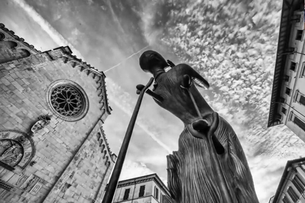 Incontro con FermoImmagine - Un ponte fotografico tra Torino e Piombino